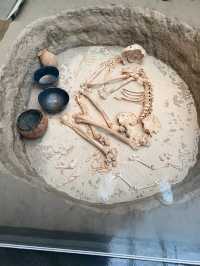The British Museum:History’s Treasure