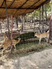 สวนสัตว์ขอนแก่น🦒