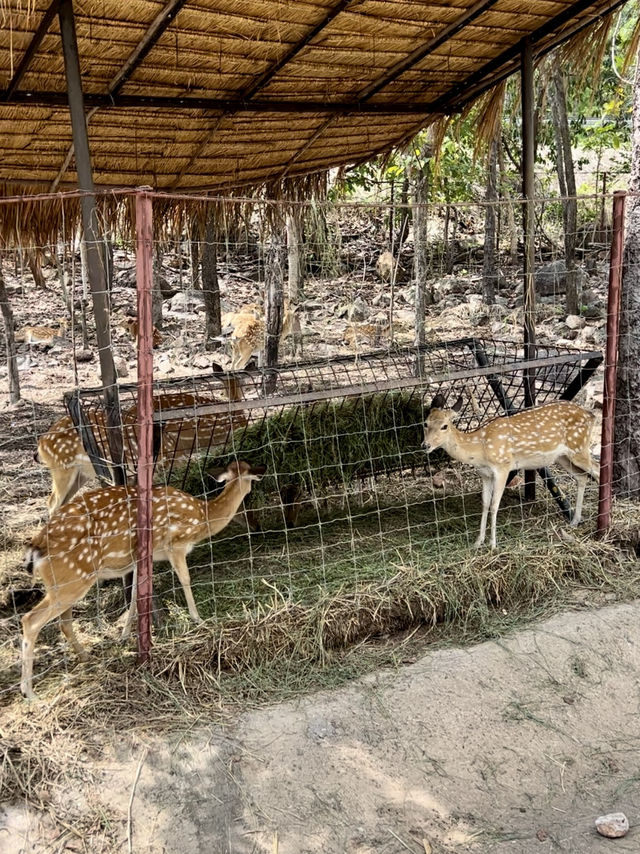 สวนสัตว์ขอนแก่น🦒 สวนสัตว์ขอนแก่น🦒
