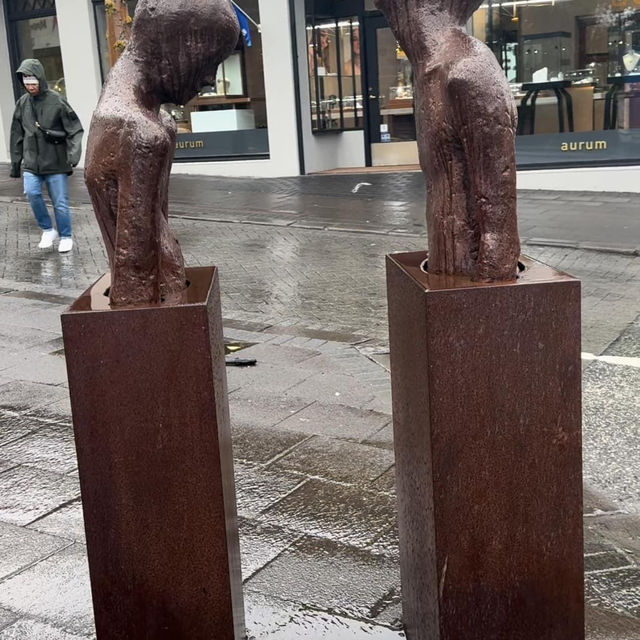 Explore the Charm of Reykjavik