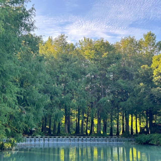 中興湖🎋城市綠洲