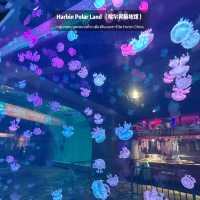 🐧Harbin Polar land 哈爾濱極地公園·極地館 