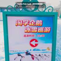 🐧Harbin Polar land 哈爾濱極地公園·極地館 