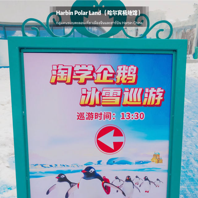 🐧Harbin Polar land 哈爾濱極地公園·極地館 