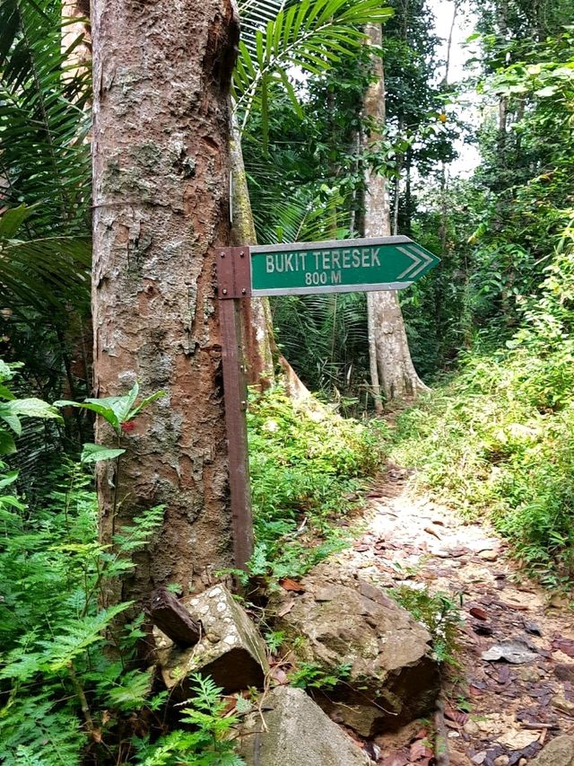 ESCAPE INTO THE WILDERNESS