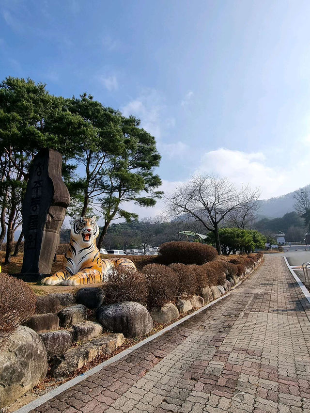 🌼༉₊🌤 청주랜드동물원
