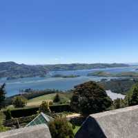 Larnach Castle: History and Elegance