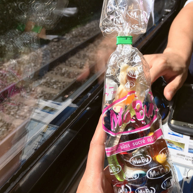 스위스 융프라우 산악기차여행🚂  