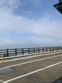 🚴‍♂️ 新竹十七公里海岸線 - 絶景と自然が楽しめるサイクリングロード*🚴‍♀️