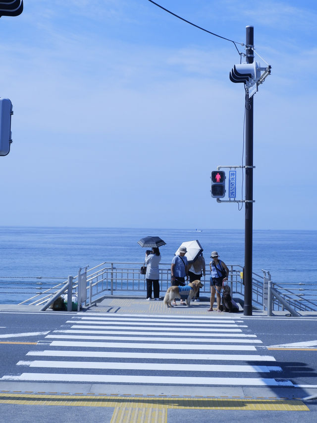 鎌倉人氣景點：鎌倉高校前