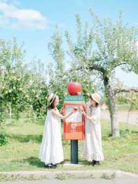 【青森】弘前市でりんご尽くしの旅🍎