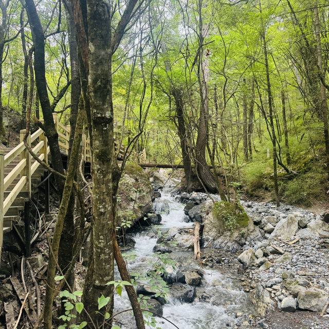 🇨🇳Sichuan | AAAAA National Park