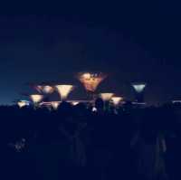 Gardens by the Bay ：白日綠意與夜晚燈光的完美結合