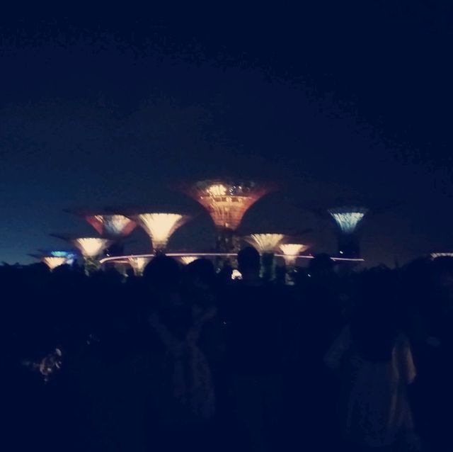 Gardens by the Bay ：白日綠意與夜晚燈光的完美結合