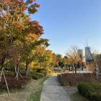 🍂🍁가을에 산책하기 좋은곳 - 송도 센트럴파크🌳