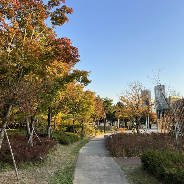 🍂🍁가을에 산책하기 좋은곳 - 송도 센트럴파크🌳