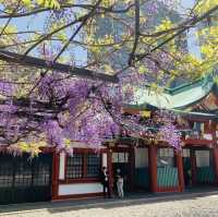 日枝神社