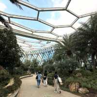 【韓国】約31000種類の植物が見られるソウル植物園🪴