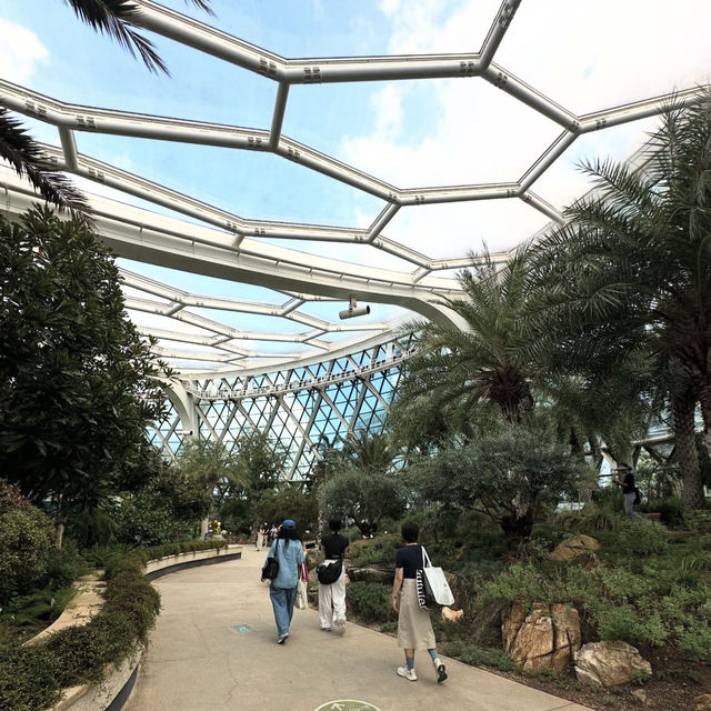 【韓国】約31000種類の植物が見られるソウル植物園🪴