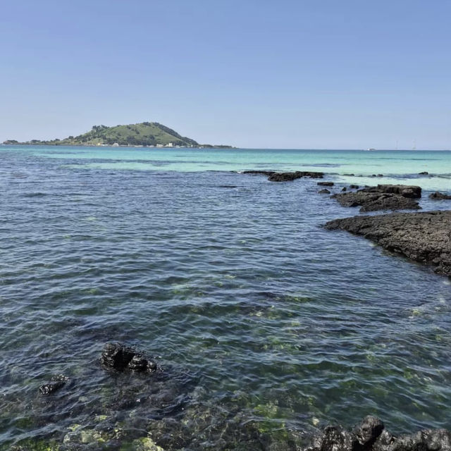 【チェジュ】チェジュの海が綺麗すぎるので行ってみてください✨