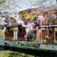 【京都】京都が満喫できる町並み 祇園白川