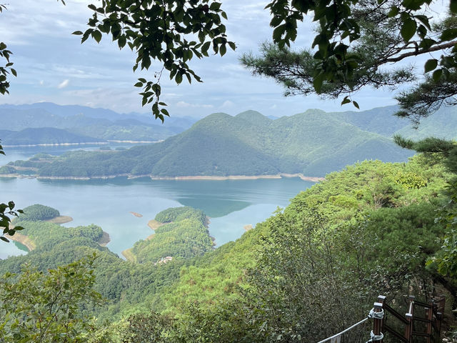 충주 대표 관광지 악어봉 정식 개장 첫주 오픈런 🔥