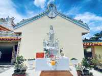 ⛩️เทศกาลกินเจ⛩️จังหวัดตลาดเริ่มแล้ว🥬