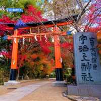 世界文化遺產～宇治上神社