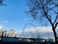 在倫敦公園觀看london eye