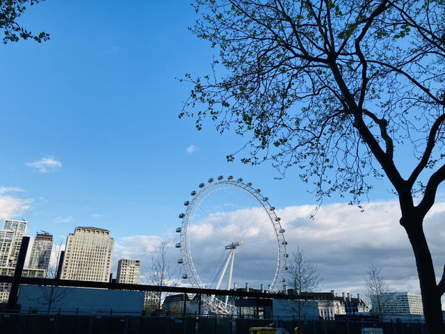 在倫敦公園觀看london eye