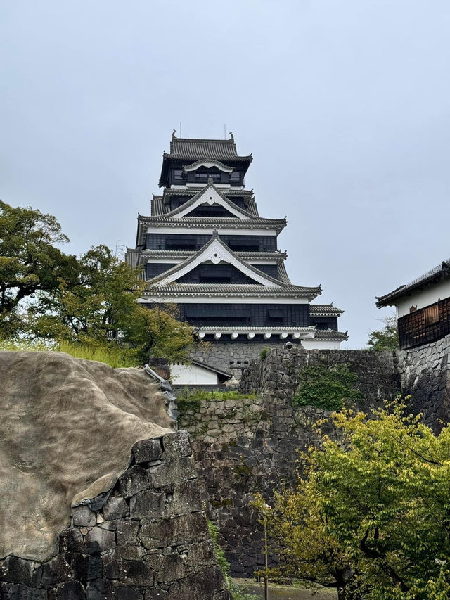 熊本自遊行😬必到行程之選😍熊本城🫡