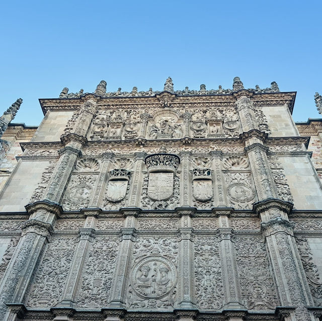 薩拉曼卡 Salamanca  最古老的大學城