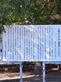 【瞰望岩:北海道遠軽町】圧巻!!巨大な岩を見に行こう♪