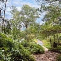"Discover Nature with a Scenic Hike at Bukit Kepayang, Seremban"