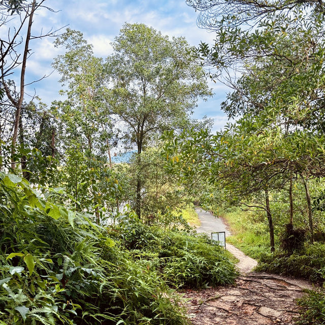 "Discover Nature with a Scenic Hike at Bukit Kepayang, Seremban"