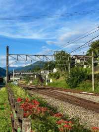 Scenic Train Journey from Nagiso to Nagoya 🚊