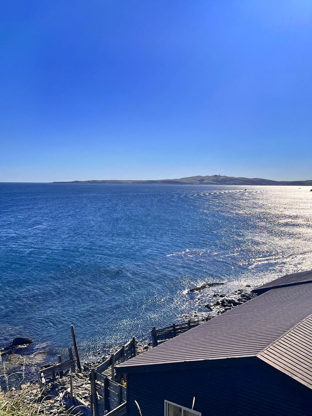 【北海道礼文島】最北限の地スコトン岬✨