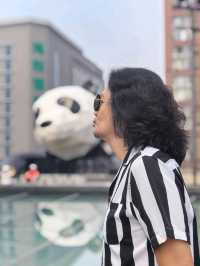 Secret Panda Photo Spot in Chengdu