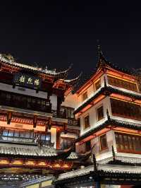 A Night of Magic: The Yu Yuan Shang Cheng Lantern Festival