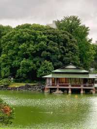 清澄庭園：東京鬧市中的寧靜綠洲🌿💧
