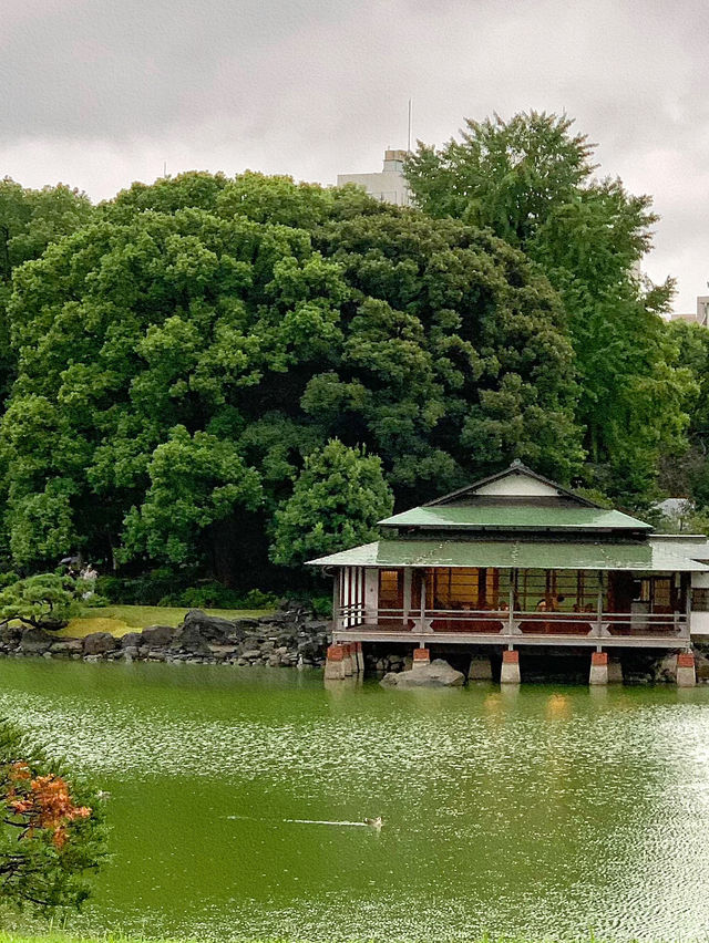 清澄庭園：東京鬧市中的寧靜綠洲🌿💧