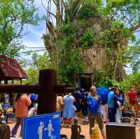One Day Trip อัมพวา สมุทรสงคราม
