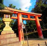 【奈良】春日神鹿とともに春日大社へ🦌⛩