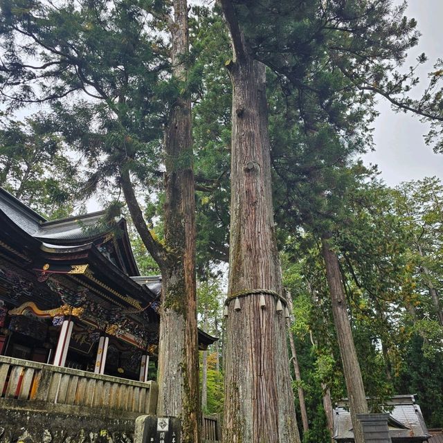 [秩父]関東最強のパワースポット[三峰神社]