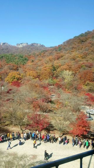 LOVELY AUTUMN VIEWS FROM THE CABLE CAR 