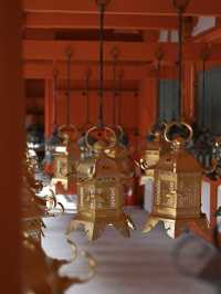 【奈良の世界遺産】春日大社⛩️