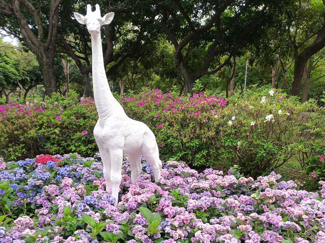 台北賞花好去處🪻大安森林公園🌺