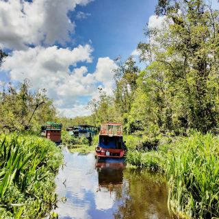 The Tanjung Puting National Park