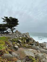 One of the most scenic drives in California 