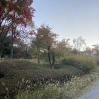 Namsan Park ในฤดูใบไม้เปลี่ยนสี